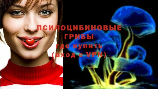 скорость mdpv Медногорск