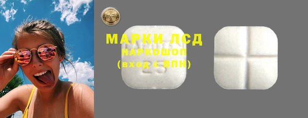 стаф Алзамай