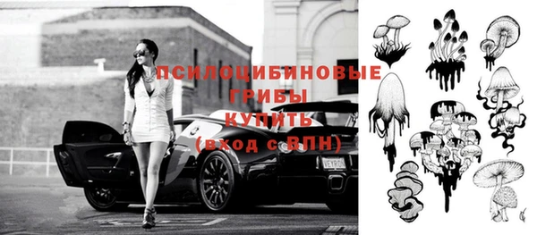 стаф Алзамай