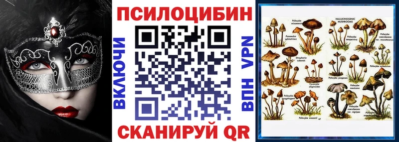 гидра как войти  Алагир  Псилоцибиновые грибы Psilocybine cubensis 
